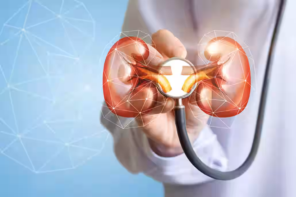 Nephrology Department